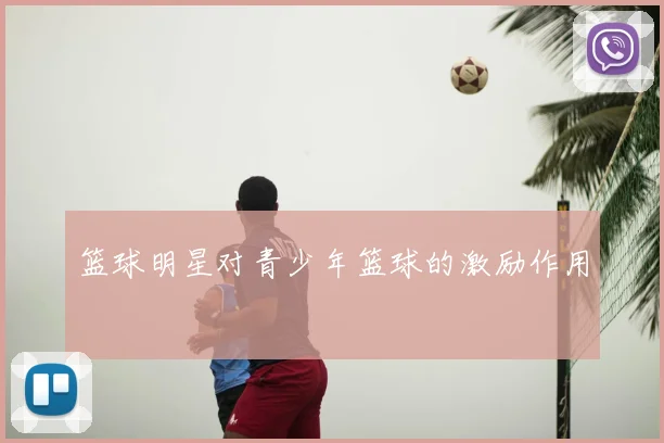 篮球明星对青少年篮球的激励作用
