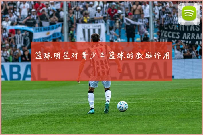 篮球明星对青少年篮球的激励作用